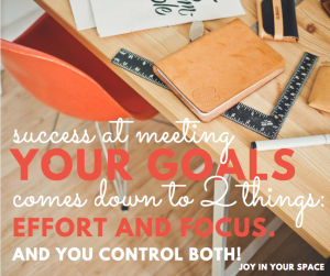 Success at meeting your goals comes down to 2 things: Effort and Focus and you control both!